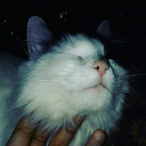 Meet your Posher, Ashley nicole